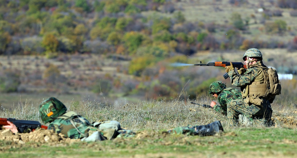 Marines, Bulgarians conduct joint exercise