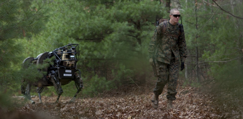 Marines Operate Robotic &quot;Pack Mule&quot;