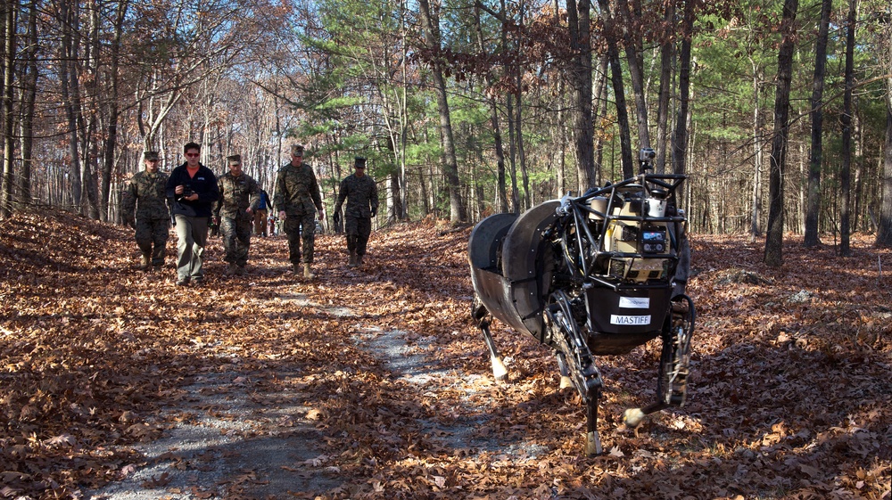 Marines operate robotic &quot;pack mule&quot;