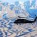 Black Hawk helicopter in flight