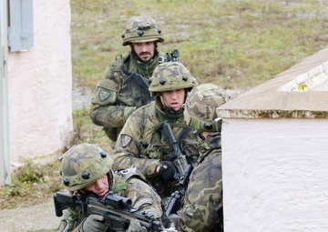 Exercise 'Combined Resolve', at the Joint Multinational Readiness Center (JMRC)  Hohenfels, Germany