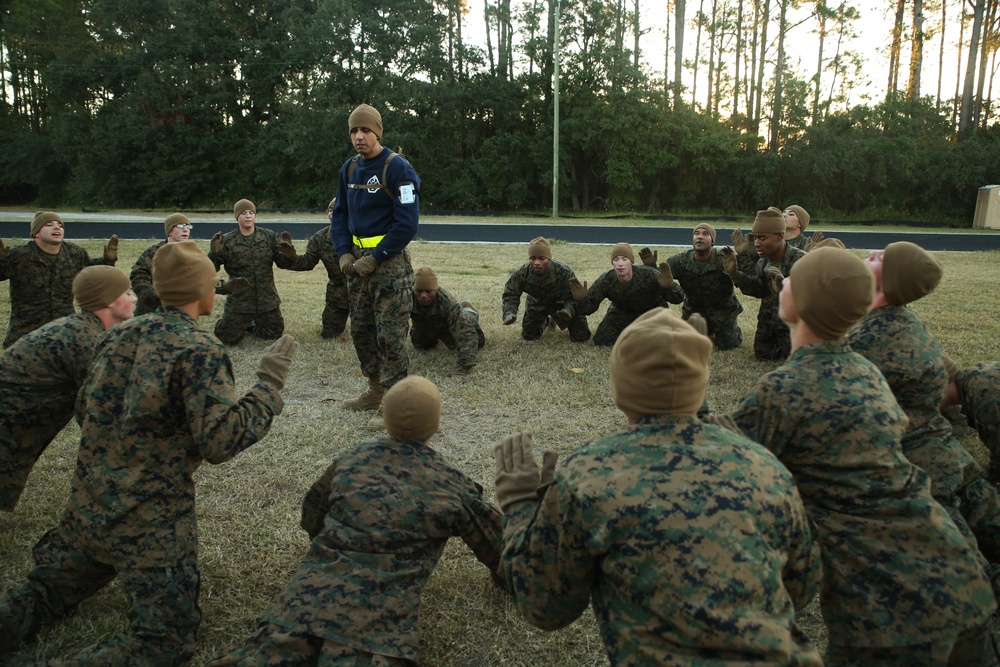 Photo Gallery: Marine recruits improve stamina, strength early in training on Parris Island