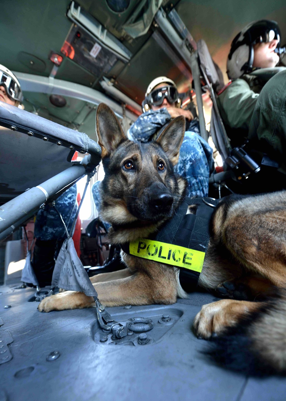 Aerial training exercise for K-9 units