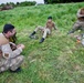 Operations shift from sea to land in SK13