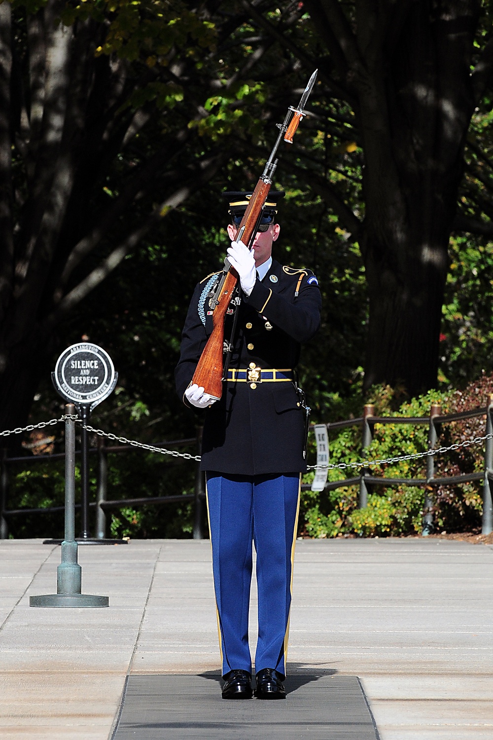 Honoring the Unknown Soldier