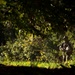 Female Marine infantry students tackle patrol week