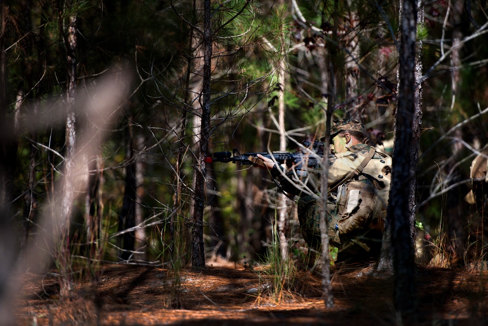 Female Marine infantry students tackle patrol week