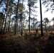 Female Marine infantry students tackle patrol week