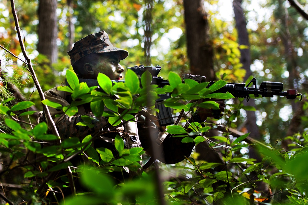 Female Marine infantry students tackle patrol week