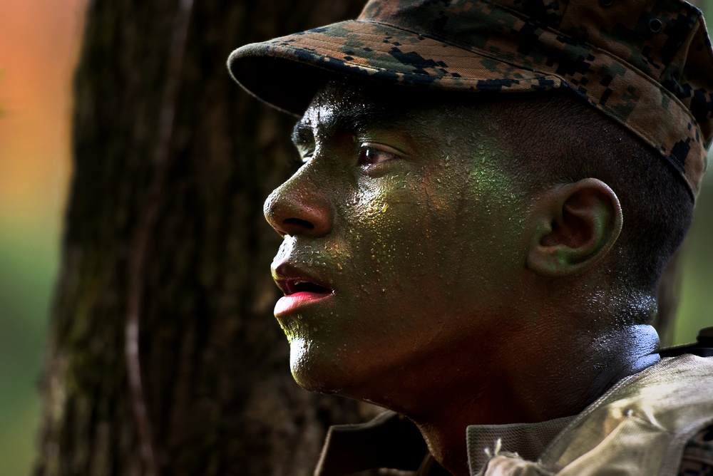 Female Marine infantry students tackle patrol week