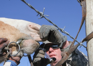 Mobile military medical services at work in Shared Accord 13