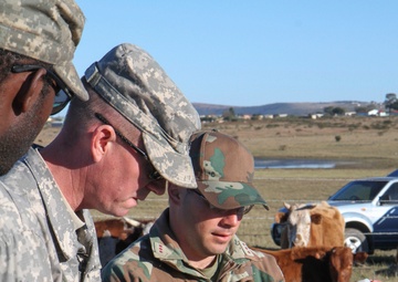 Veterinary team bonds during Shared Accord 13