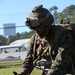 22nd MEU completes second shipboard period to prepare for deployment