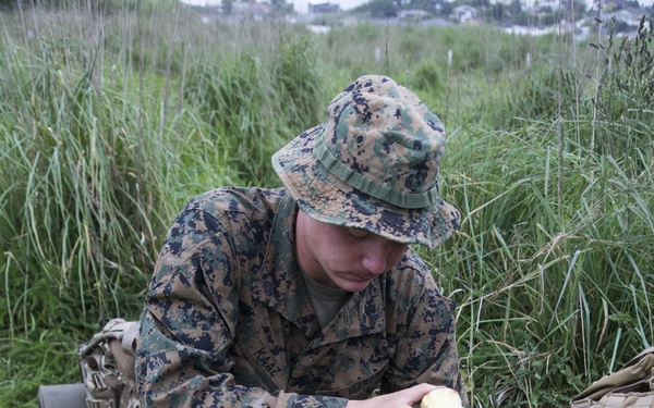 Troops from US, NZ, France conduct convoy operations during Southern Katipo