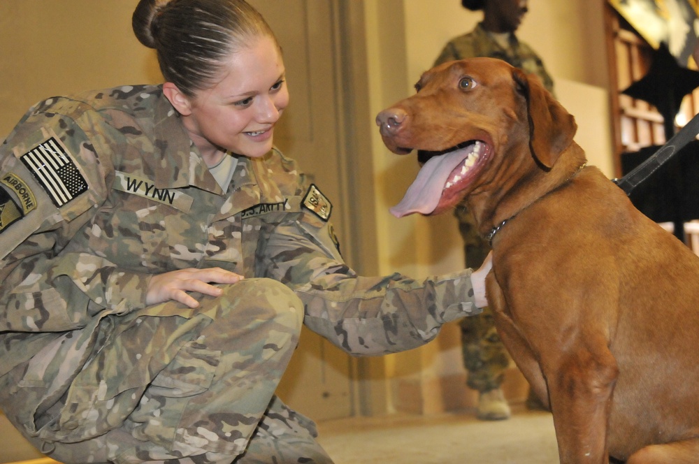 A dog gone good time