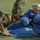 K9 training