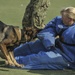 K9 training