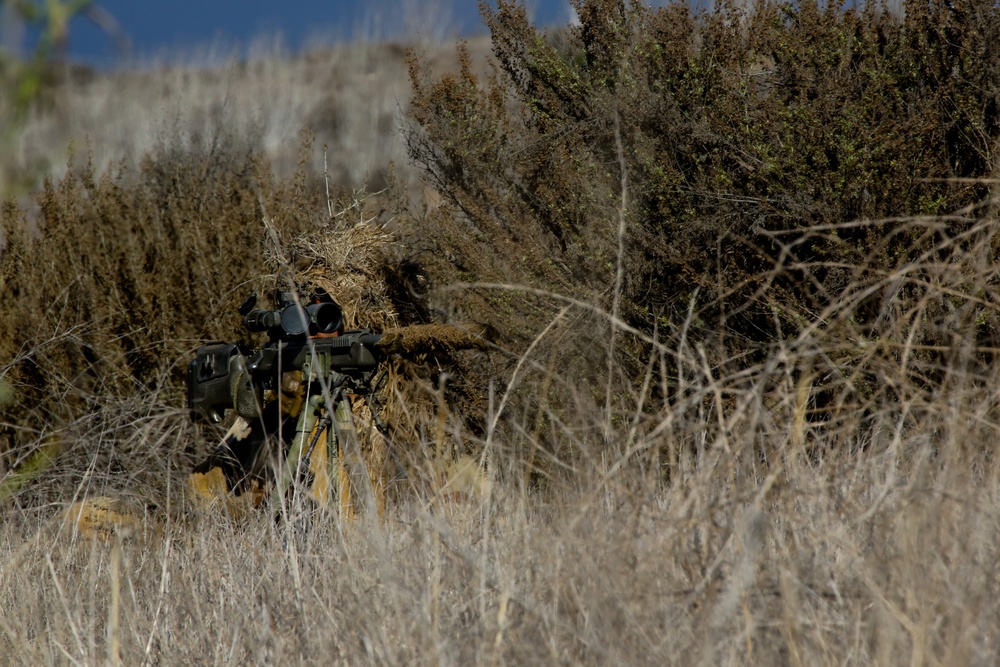 Hiding in plain sight: Marines tackle stalking against instructors