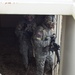 Ansbach based MPs conduct realistic home-station training