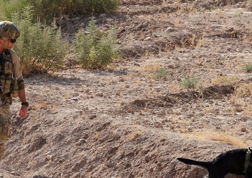 SECFOR patrol in Tarin Kot, Uruzgan