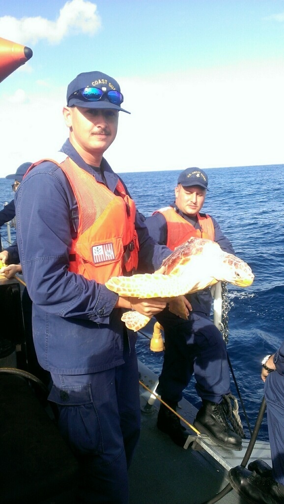 Coast Guard Cutter Block Island releases turtles