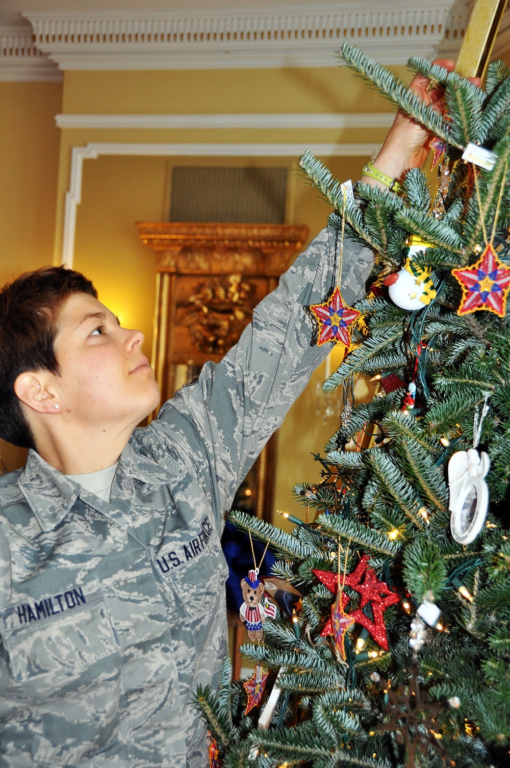 Wisconsin Department of Military Affairs helps trim Tribute to the Troops Tree