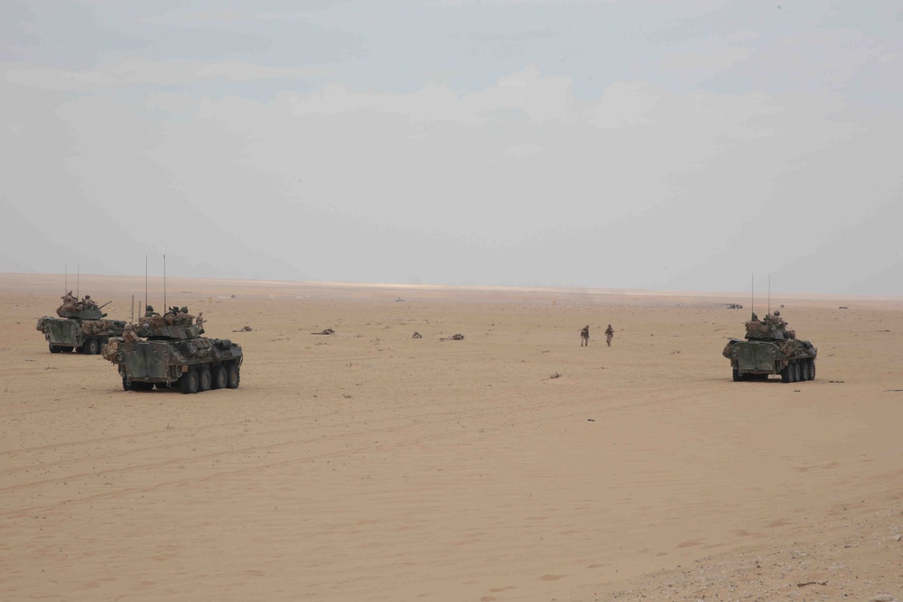 13th MEU Tanks and LAVs Conduct Live-Fire Training