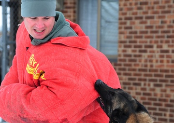 Canines bite into work