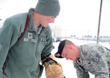 Canines bite into work