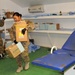 Soldiers partner for Egyptian hospital closure in Afghanistan
