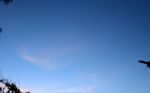 Component validates NRF commitment with Magic Viking