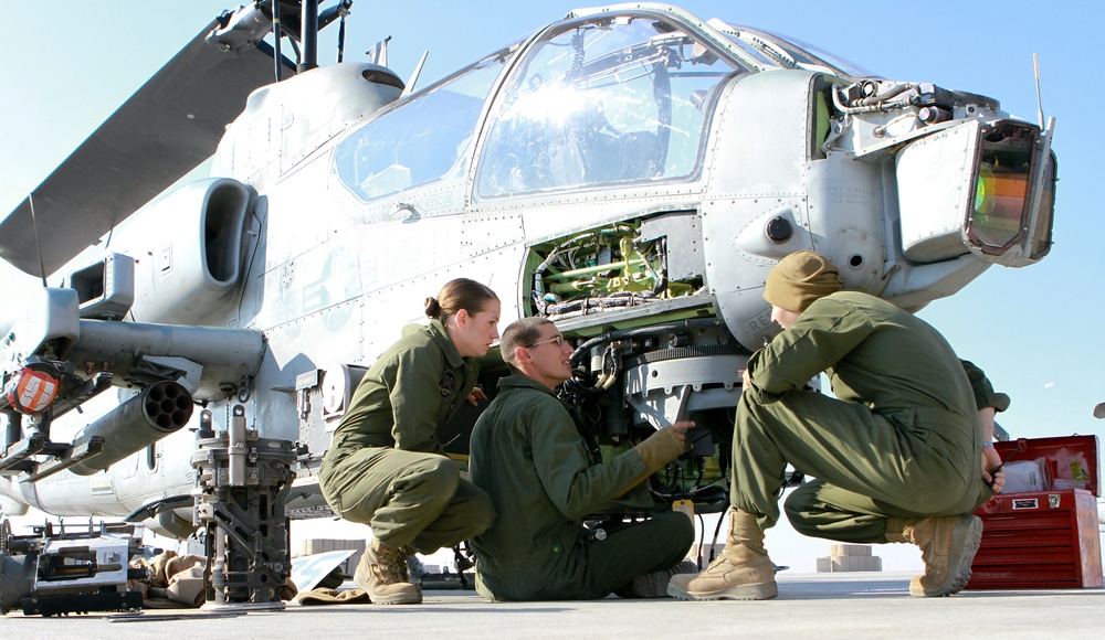 Fixing the bird