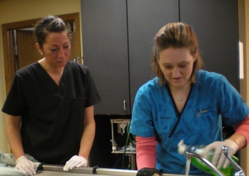 Mississippi River towboat incident response continues