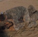 Soldiers at Camp Arifjan wrestle with Marine Corps style combatives