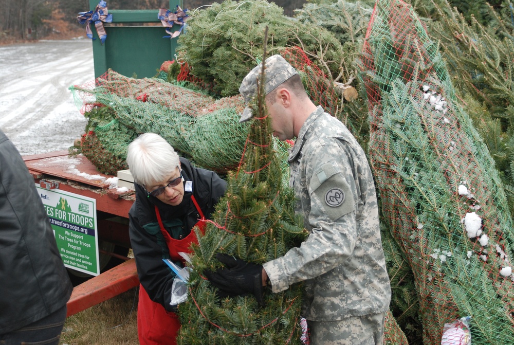 New York Army National Guard members help with trees for troops