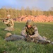 Combat readiness training course