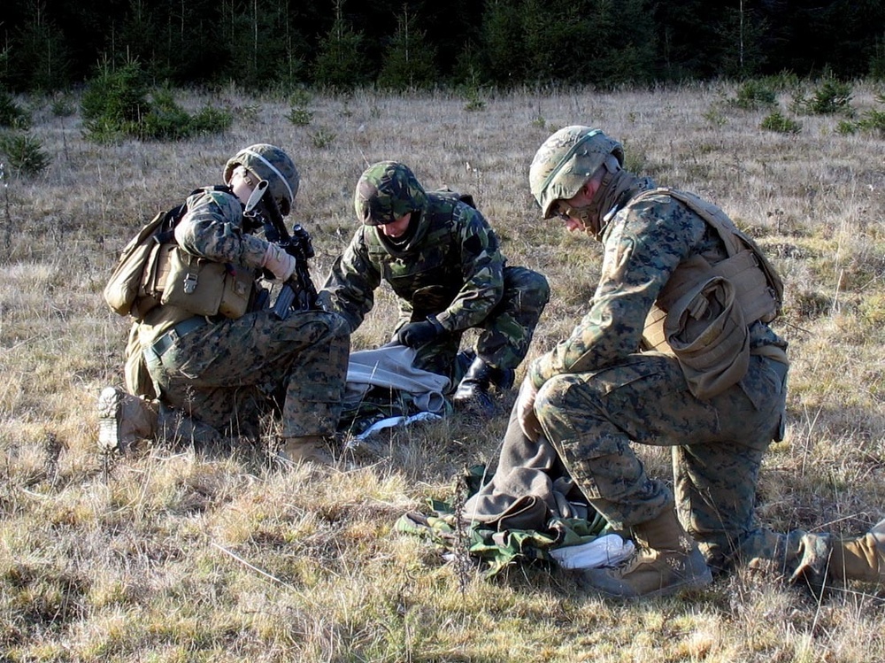 Marines conduct Platinum Lynx 14-3 in Romania