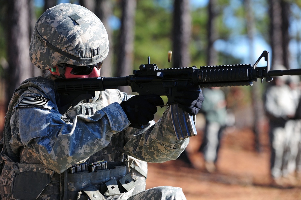 Operation Orion 2013