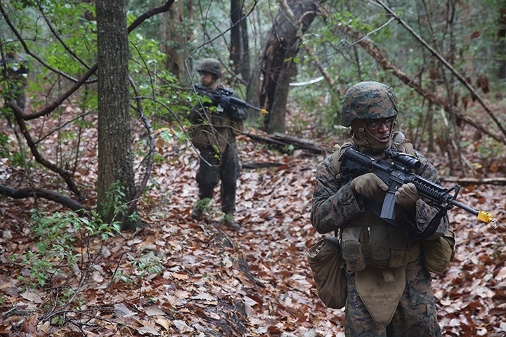 Marines, sailors conduct small-unit training for Cold Response