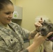 Joint Base Charleston Veterinary Treatment Facility offers services to military and retirees