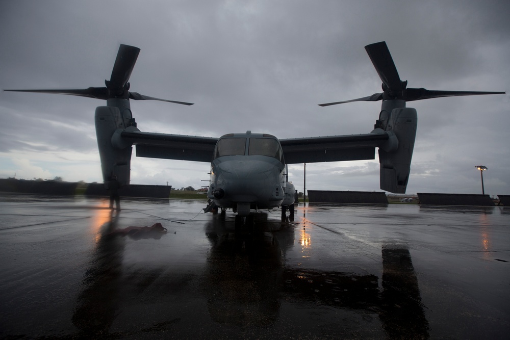 Ospreys arrive to support FF II