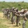 Special Operations Detachment - Africa crosses one-year milestone