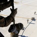 Crisis Response Marines conduct suspension training in Spain