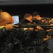 Weapons qualification course