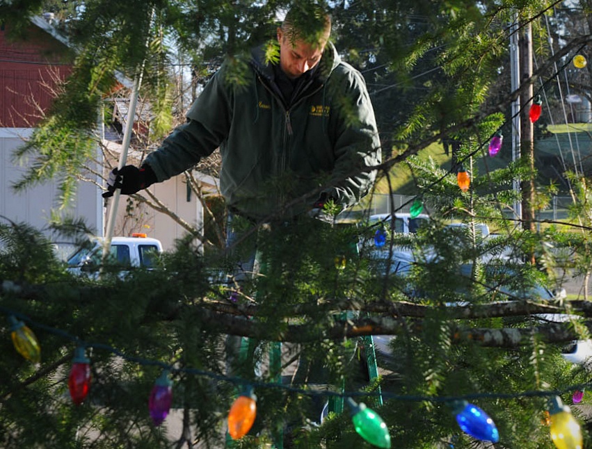 Brigade provides holiday tree to local community