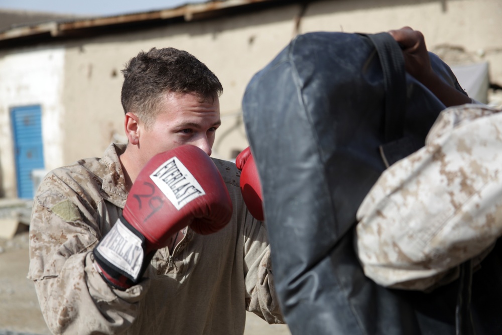 3/7 Weapons Company MCMAP Training