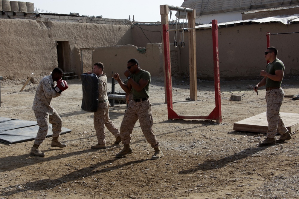 3/7 Weapons Company MCMAP Training