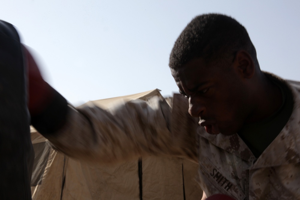 3/7 Weapons Company MCMAP Training