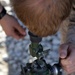 3/7 Weapons company mortar training