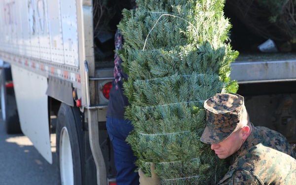 Trees for Troops comes to MCLB Barstow for a 9th time